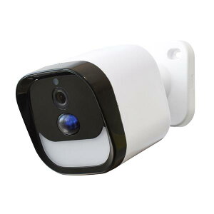 DAISHIN LED�Z���T�[���C�g�t�� ���C�����X �h�ƃJ���� DLA-RD300-SL