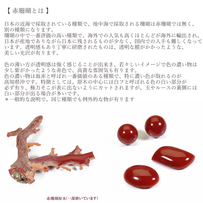 血赤珊瑚 ネクタイピン 丸玉 メンズ 無染色 SANSUI
