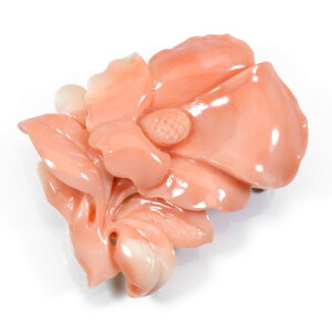 X XJb` y_g u[`  K18 CG[S[h F JUNSUI 3a VRX sango { R[  TS y m bsO  