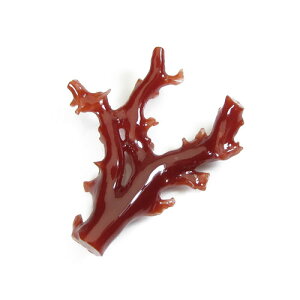 ԎX [X } F SANSUI 3a VRX sango { R[  TS y m bsO  