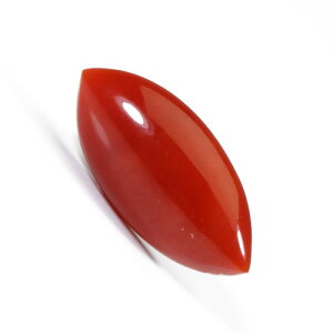 ԎX bh ^C^bN F SANSUI Y j 3a VRX sango { R[  TS y m bsO  