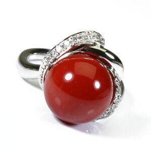 ԎX O w Pt900 v`i ۋ F SANSUI fB[X  t@bV ANZT[ WG[ җj X荥 3a bsO  m y