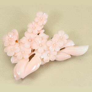 sN ~bhX u[` ї   F SANSUI 3a VRX sango { R[  TS y m bsO  