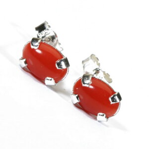 ԎX bh sAX Vo[ F SANSUI fB[X  t@bV ANZT[ WG[ җj X荥 3a bsO  m y