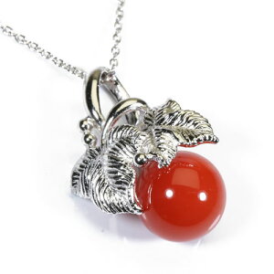  X y_g lbNX ۋ Vo[ F SANSUI fB[X  t@bV ANZT[ WG[ җj X荥 3a bsO  m y