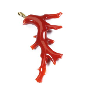 ԎX bh y_g gbv }TS K18 CG[S[h F SANSUI fB[X  t@bV ANZT[ WG[ җj X荥 3a bsO 