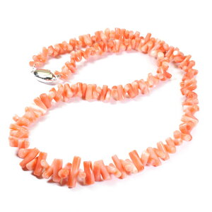 sN [C X lbNX }TS ^ Vo[ F SANSUI fB[X  t@bV ANZT[ WG[ X荥 3a bsO 