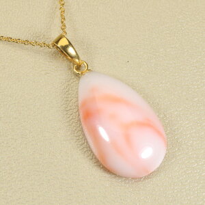 [C X sN y_g lbNX Vo[ F SANSUI fB[X  t@bV ANZT[ WG[ X荥 3a bsO 