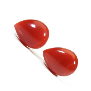 ԎX sAX eBAhbv K18YG 18 CG[S[h F SANSUI fB[X  t@bV ANZT[ WG[ җj X荥 3a bsO  