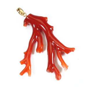 ԎX y_g gbv }TS K18 CG[S[h F SANSUI fB[X  t@bV ANZT[ WG[ җj X荥 3a bsO 