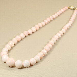 ~XX sN lbNX K14YG CG[S[h F SANSUI fB[X  3a VRX sango { R[  TS y m bsO  