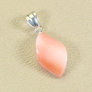 K[lX sN y_g Vo[ F SANSUI fB[X  t@bV ANZT[ WG[ X荥 3a bsO  m y