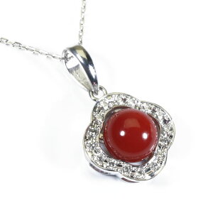  X mY lbNX y_g F K18WG zCgS[h SANSUI fB[X  t@bV ANZT[ WG[ җj X荥 3a bsO 