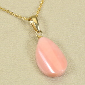 K[lX sN y_g lbNX F SANSUI fB[X  t@bV ANZT[ WG[ X荥 3a bsO 