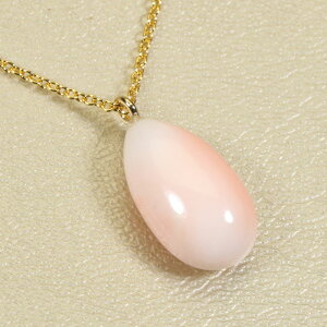 K[lX sN y_g lbNX F SANSUI fB[X  t@bV ANZT[ WG[ X荥 3a bsO 