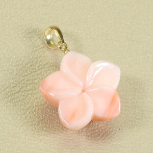 K[lX sN y_g vA  K18 CG[S[h F SANSUI fB[X  t@bV ANZT[ WG[ җj X荥 3a bsO 