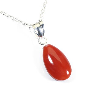 ԎX L o[Vu y_g lbNX Vo[ F SANSUI VRX sango { R[  TS y m bsO  