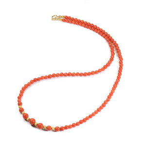 nC X lbNX Vo[ F SANSUI fB[X  t@bV ANZT[ WG[ җj X荥 3a bsO  m y