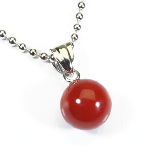 ԎX y_g lbNX ۋ Vo[ F SANSUI fB[X  t@bV ANZT[ WG[ җj X荥 3a bsO  m y