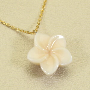 X lbNX y_g vA  ꗱ S[htBh F SANSUI zCg fB[X  t@bV ANZT[ WG[ 3a bsO  m