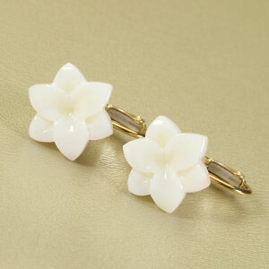 X CO S  K18 CG[S[h F SANSUI zCg fB[X  3a VRX sango { R[  TS y m bsO  