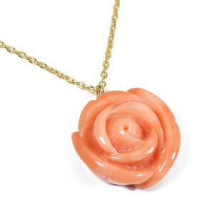 X y_g KN  ꗱ S[htBh F SANSUI fB[X  t@bV ANZT[ WG[ X荥 3a bsO  m y