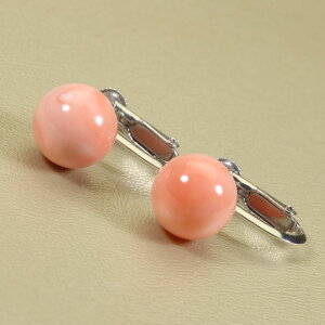 sN K-lX CO Vo[ ۋ F SANSUI 3a VRX sango { R[  TS y m bsO  