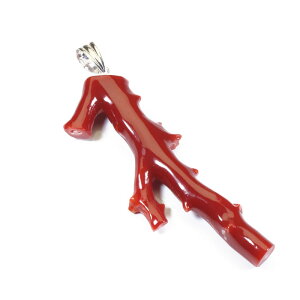 ԎX y_g gbv }TS K14WG zCgS[h F SANSUI fB[X  t@bV ANZT[ WG[ җj X荥 3a bsO 