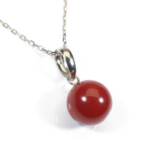 ԎX mY ۋ lbNX y_g Pt850 v`i F SANSUI fB[X  t@bV ANZT[ WG[ җj X荥 3a bsO 