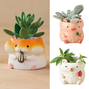 ygW|bg Aj}V[Y^6Zbgz|W Aؔ 1 ܂Ƃߔ K[fjO vg|bg  CeA AWJbv  u Aj}`[