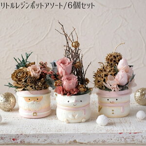 yNX}XgW|bgA\[g^6Zbgz CeA Cxg Christmas NX}XAW Jbv  t[AWg A ܂Ƃߔ K[fj