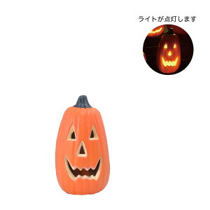 ynEBfBXvCCg /גڂMz CeA  G  蕨 v[g  i` I[^ HALLOWEEN nEBAW X X C~l[V