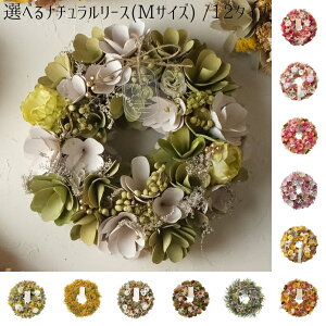 yIׂi`[X^MTCYz t[X I[V[Y [X a25cm hCt[ t[AWg  vU[uht[ tFCNt[ t[