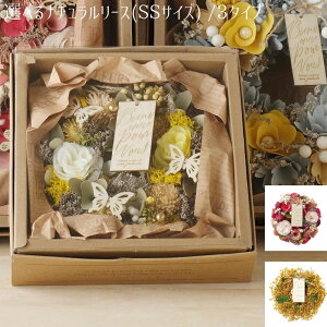 yIׂi`[X^SSTCYz t[X I[V[Y [X a18cm hCt[ t[AWg  vU[uht[ tFCNt[ t[