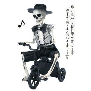 ynEBz[V[Y^KCRcTCNOz nEB nEB nEBG ~ [ ͋C_ nEBp[eB[    u 