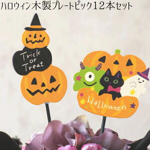 ynEBؐv[gsbN/12Zbgz HALLOWEEN nEBAW v[g Mtg bsO َq t[AW A 񂹐A K[fjO u[P ԑ