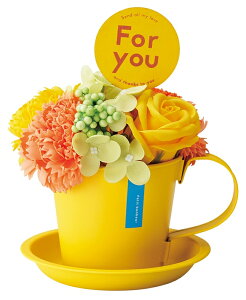 yrrbh}O\[vt[z킢 t[\[v Ό tAW tFCNt[ t[Mtg CeA G ֑ ̓Mtg }U[YfC av[g j