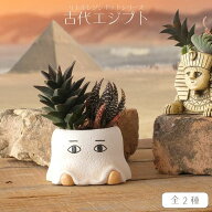 【リトルレジンポット 古代エジプト】送料無料 ポリレジン樹脂 植木鉢 1号 ガーデニング プラントポット …