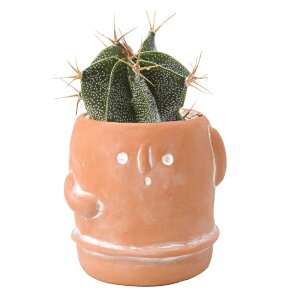 yÑV[YeRb^|bg͂ɂ/2ZbgzyLTCYESTCYz CeA AW |bg t[AWg A ܂Ƃߔ K[fjO vg|bg 