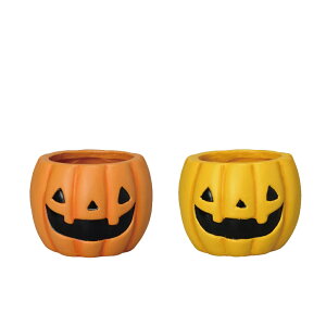 ynEBpvL|bgSTCY^12Zbgz CeA Cxg HALLOWEEN nEBAW Jbv  t[AWg A ܂Ƃߔ K[fjO