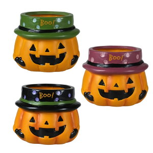 ynEBpvL|bgSTCY^12Zbgz CeA Cxg HALLOWEEN nEBAW Jbv  t[AWg A ܂Ƃߔ K[fjO