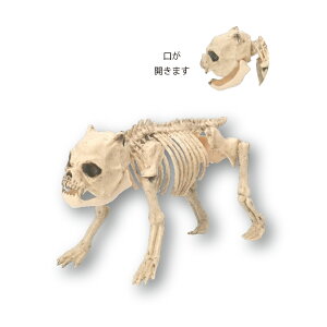 ynEBz[V[Y{[I[ig^҂z nEB nEB nEBG ~ ͋C_  u ƒp X  i nEB