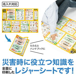 y60Zbg̔zyЊQ΍InhubNɂȂ郌W[V[gzhД~i ܂Ƃߔ hЂ̓ hЃCxg ei ̑ hЃObY mxeB LOi ЊQ΍ nk΍ 