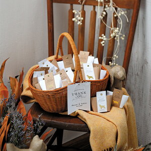 y`[~[ybcIIin[gpC~j3j30Zbgzy/iƓsz 񎟉 EFfBO EGJMtg [i Hi  X  p[eB[