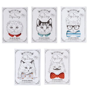 yNice CatsIiiCXLbcjzysz 񎟉 v`Mtg EFfBO  Hi EFJy[X  ސE  ii Cxg X  ܂Ƃߔ A TvC