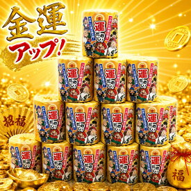 【12個セット販売/金運アップ!運だめしロール】林製紙 おもしろトイレットペーパー ディスプレイ 積上げ 集客 イベント 抽選会 ビンゴ大会 景品 販促品 粗品 ノベルティ 引越し ご挨拶 お祝い プレゼント 金運アップ 開運招福