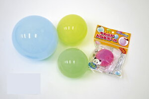 y炩p`{[zy12Zbg̔/1240~(ō)z 炩{[ O  lC Cxg q wZ w ۈ牀 ct ̑i ei mxeB ii ܕi P