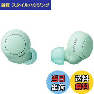�y���������z�\�j�[(SONY) ���S���C�����X�C���z�� WF-C500 : /�y�ʏ��^5.4g/�����x�ʘb�i��/�ȒP�y�A�����O/IPX4�h�H���\/�A�C�X�O���[�� WF-C500 GZ