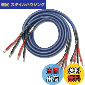 �y���������z�y�o�C���C���[�z WYVERN AUDIO �ɑ� �������x�� 12�c �o�i�i�v���O�t �����i HIFI �o�C���C�������O�ڑ� �o�C���C���[ �X�s�[�J�[�P�[�u�� 2�{1�g LR�Z�b�g �yWVA-04BW12�z �i�u���[�j 2.