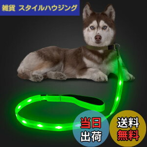 �y���������zCandofly ���ˌ^ LED ���p���[�h - �ÈłŌ��錢 ���C�g USB �[�d���Ɩ��t�����p���[�v�A4 �t�B�[�g�̑ϋv���̂���ϐ����_�Ō����[�h�A�y�b�g�̌��̖�̎U���p (��)